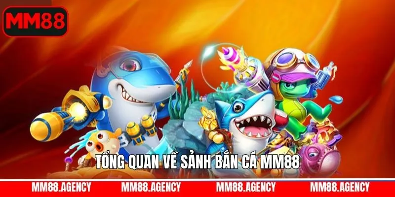 Tổng quan về săn cá đại dương